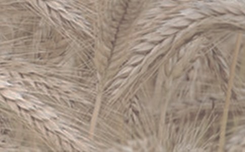 �й�С������300�ְ�ƪ