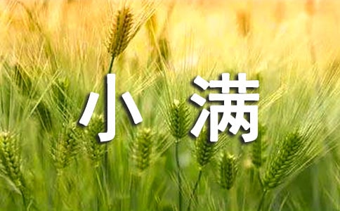 对小满说作文四年级