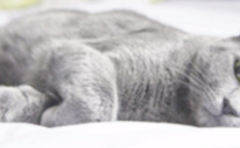 �й�Сè������300��10ƪ