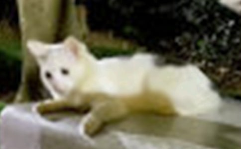 Сè��400������