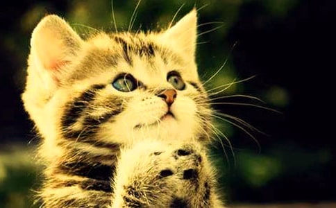 СèСѧ����300��4ƪ