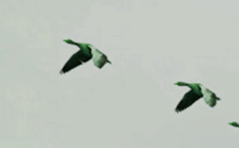 С������300�ֳ���(4ƪ)