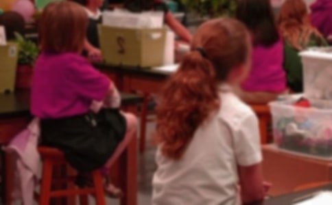 ��д��Сѧ��������ƪ