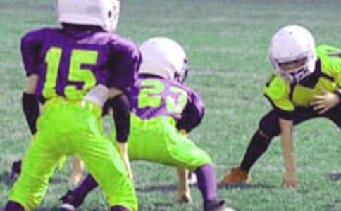 Сѧ�����꼶���ġ���ѡ15ƪ��