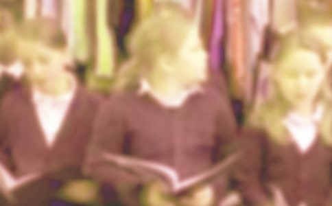 �����š�Сѧ������8ƪ