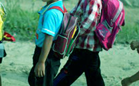 Сѧ���۵�չ���ģ���ѡ20ƪ��