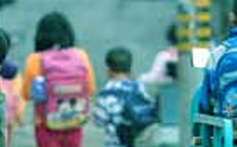 ʵ�õ����꼶Сѧ������3ƪ