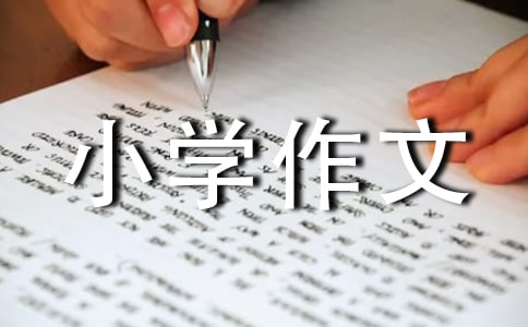 �ҵ�Сѧ����300��10ƪ[����]