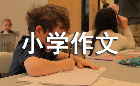 ����Сѧ����15ƪ