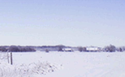 Сѩ��Ǧ������