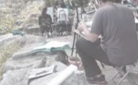 写生命的作文400字左右