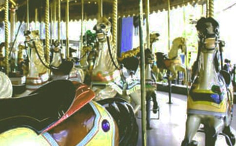 ��תľ��800�������ز�