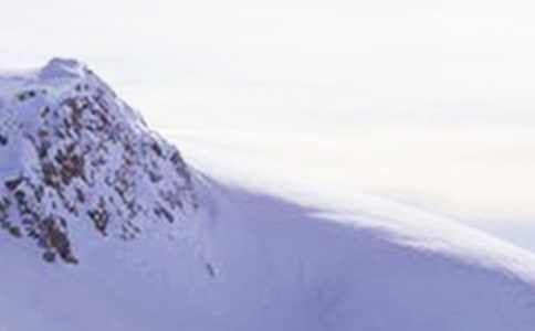 ѩɽ����300����ƪ