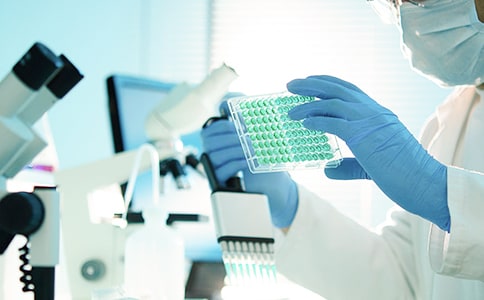 ���꼶�����о����桾�ϼ���