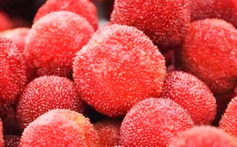 写杨梅的作文300字三篇