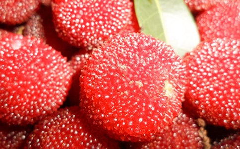 ��÷������300��(�ϼ�5ƪ)