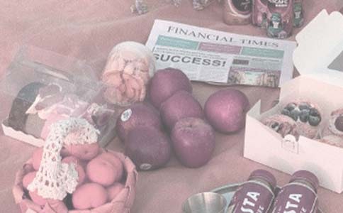 ����Ұ�͵�����300����ƪ