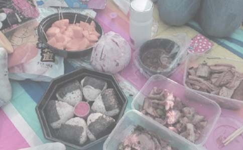 有关野餐作文600字三篇