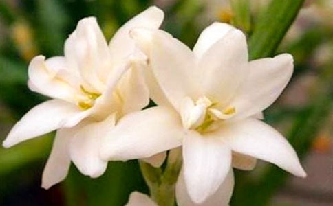 дҹ��������ģ�ͨ��3ƪ��