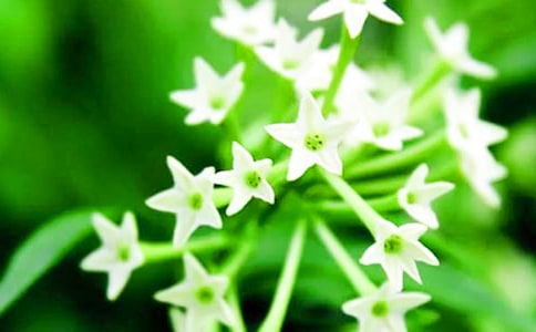 ҹ��������300�֣�ͨ��6ƪ��