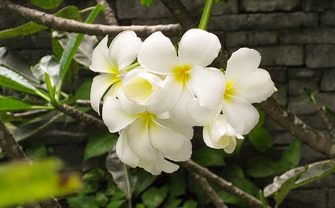 ҹ��������300�֣�ͨ��24ƪ��