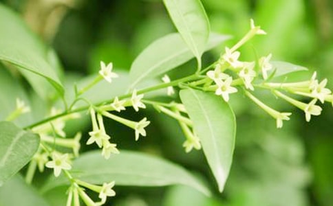 ��ϲ��ҹ��������350�֣���ѡ3ƪ��