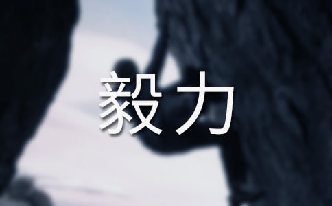 �й�����������500��4ƪ