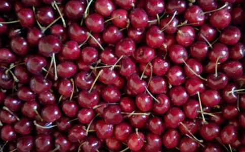 ��ѡ���꼶ӣ������300����ƪ