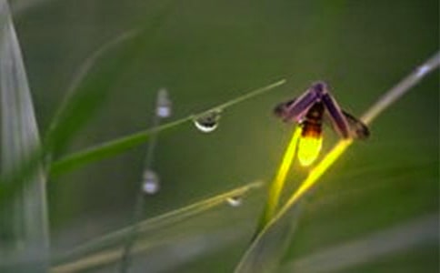 ө�������500��9ƪ