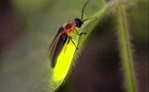 ө�������500��