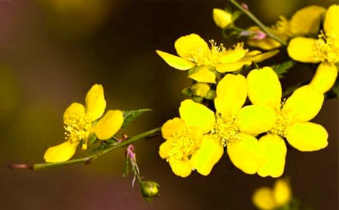 дӭ����������400��