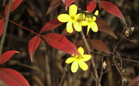 ӭ����������300��