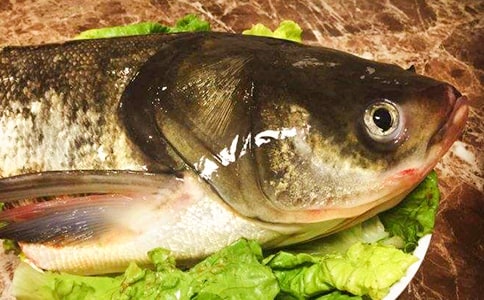 ��ѡ��ͷ����500����ƪ