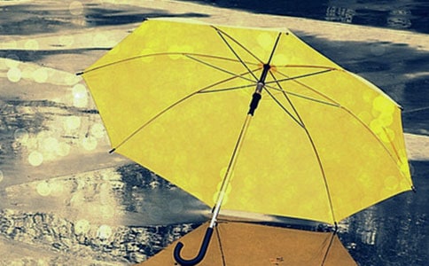 雨伞作文300字合集六篇