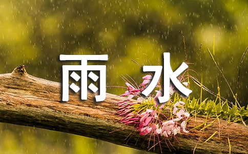 雨水节气作文(7篇)