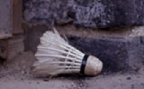 ����ѡ������ë��Сѧ��������ƪ