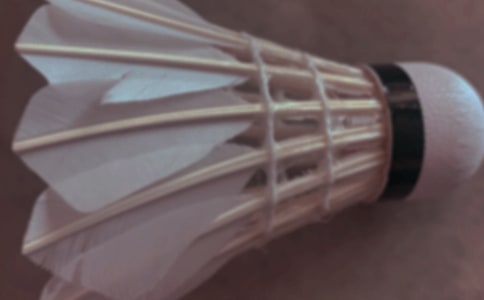 ��ë���սСѧ����