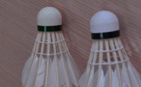 ����ë������ģ���ѡ21ƪ��