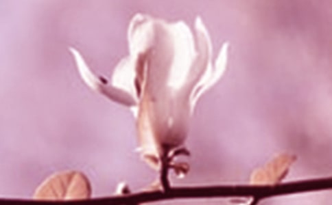 �������������꼶