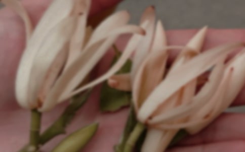 ��ѡ���������꼶������ƪ