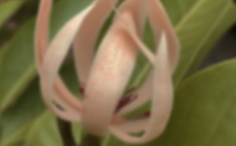 ��������100�����ģ���ѡ49ƪ��