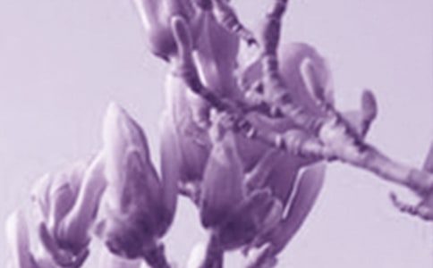 ����������500��4ƪ