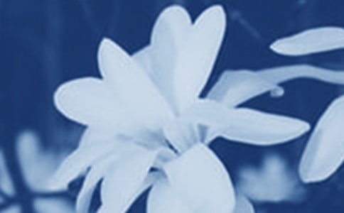 ��ѡ���������꼶���ļ���9ƪ