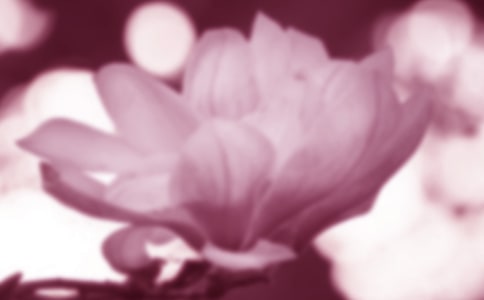 ������������300�֣���ѡ11ƪ��