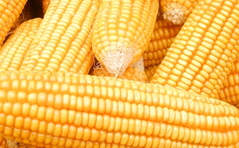 ��ѡ��������400����ƪ