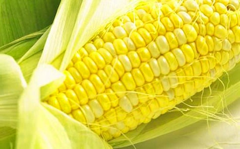 ʵ�õ���������600��4ƪ