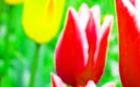 ����������450��