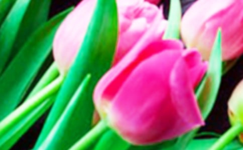 ��԰�������������