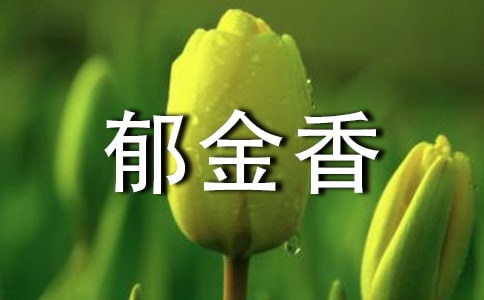 郁金香作文600字(精选30篇)