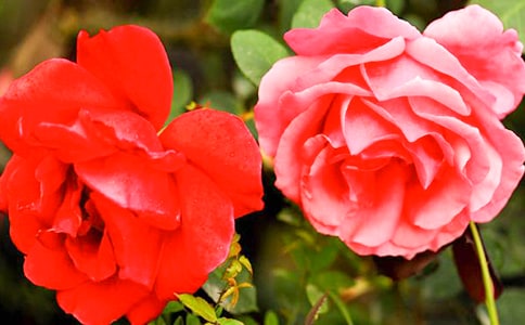 ��д�¼���������500��